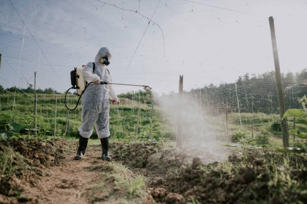 Best Commercial Pest Control Services  in Bolivar, OH
