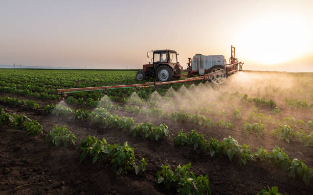 Best Pest Control for Homes  in Bolivar, OH