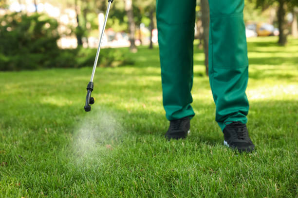 Best Flea Control Services  in Bolivar, OH