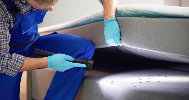Best Mosquito Control Services  in Bolivar, OH