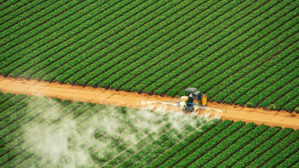 Best Pest Prevention Services  in Bolivar, OH